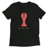 unisex-tri-blend-t-shirt-charcoal-black-triblend-front-60d41e4d33dad.jpg